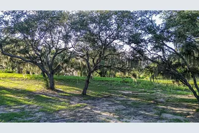 12 Holly Hill Drive, Davenport, FL 33837 - Photo 13