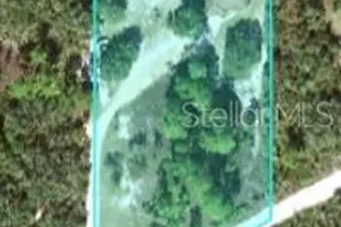 2772 Indian Pipes Trail, Frostproof, FL 33843 - Photo 5