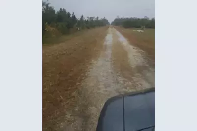 619 Calendula Drive, Indian Lake Estates, FL 33855 - Photo 5