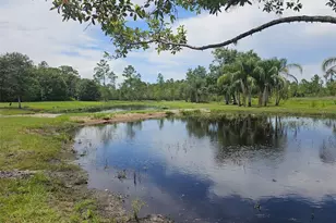 208 Limpkin Ln, Frostproof, FL 33843 - Photo 39