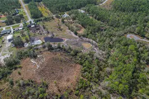 208 Limpkin Ln, Frostproof, FL 33843 - Photo 55