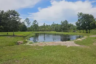 208 Limpkin Ln, Frostproof, FL 33843 - Photo 37