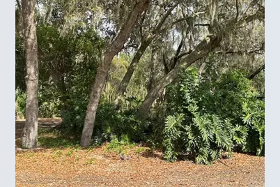 0 Country Club Road, Winter Haven, FL 33881 - Photo 5