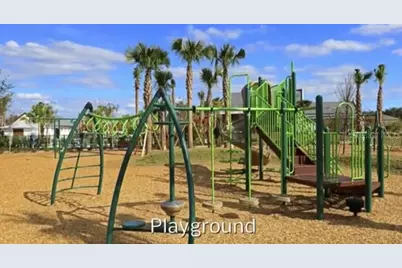 5406 Fishhawk Ridge Drive, Lithia, FL 33547 - Photo 55