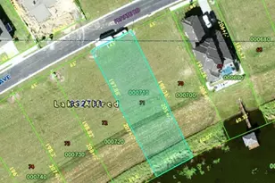 160 Caladium Ave, Lake Alfred, FL 33850 - Photo 1