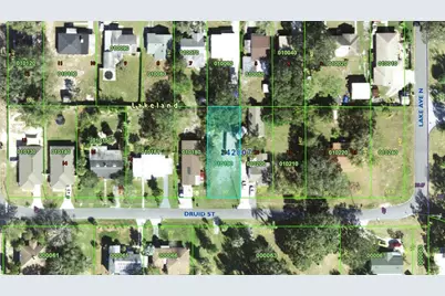 730 Druid Street, Lakeland, FL 33805 - Photo 3