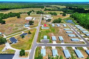 904 Terrier Dr, Zolfo Springs, FL 33890 - Photo 37