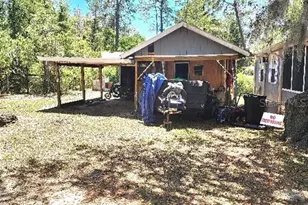 14450 NE 192nd Ln, Fort Mc Coy, FL 32134 - Photo 11