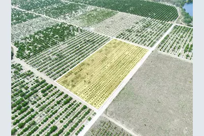 Gilbert Road, Lake Wales, FL 33898 - Photo 5