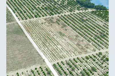 Gilbert Road, Lake Wales, FL 33898 - Photo 17