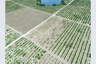 Gilbert Road, Lake Wales, FL 33898 - Photo 11