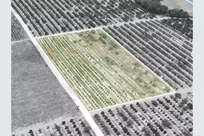 Gilbert Road, Lake Wales, FL 33898 - Photo 9