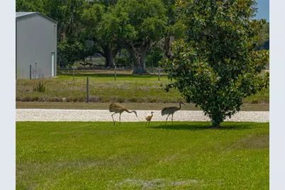 3805 Mammoth Grove Road, Lake Wales, FL 33898 - Photo 67