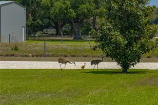 3805 Mammoth Grove Rd, Lake Wales, FL 33898 - Photo 67