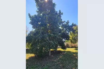 5702 Breskin Drive, Orlando, FL 32839 - Photo 25