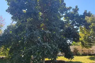 5702 Breskin Dr, Orlando, FL 32839 - Photo 25