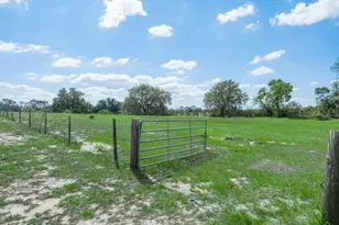 1850 S Lake Reedy Blvd, Frostproof, FL 33843 - Photo 31