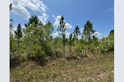 1015 Calliandra Drive, Indian Lake Estates, FL 33855 - Photo 1