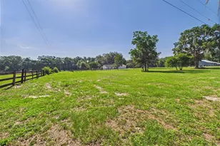 14191 SE 25th Ave, Summerfield, FL 34491 - Photo 93