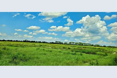 Mammoth Grove Road, Lake Wales, FL 33898 - Photo 7