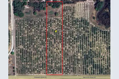 Mammoth Grove Road, Lake Wales, FL 33898 - Photo 1