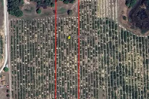 Mammoth Grove Rd, Lake Wales, FL 33898 - Photo 1