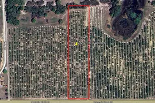 Mammoth Grove Rd, Lake Wales, FL 33898 - Photo 1