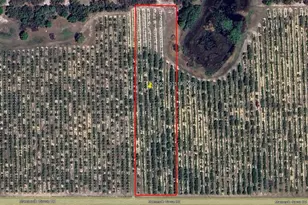 Mammoth Grove Rd, Lake Wales, FL 33898 - Photo 1