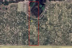 Mammoth Grove Rd, Lake Wales, FL 33898 - Photo 1