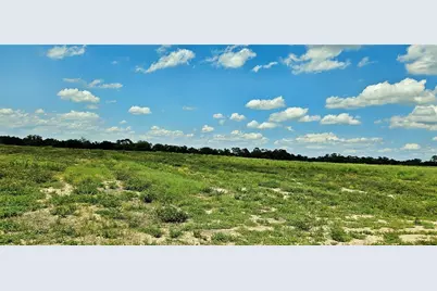 Mammoth Grove Road, Lake Wales, FL 33898 - Photo 3