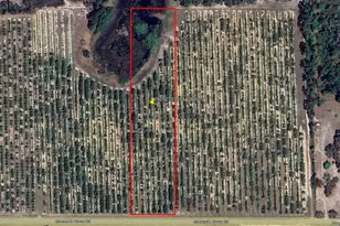 Mammoth Grove Rd, Lake Wales, FL 33898 - Photo 1