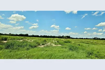 Mammoth Grove Road, Lake Wales, FL 33898 - Photo 5