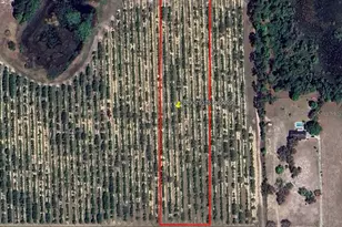 Mammoth Grove Rd, Lake Wales, FL 33898 - Photo 1