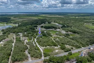 3985 Mammoth Grove Rd, Lake Wales, FL 33898 - Photo 89