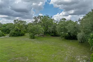 3985 Mammoth Grove Rd, Lake Wales, FL 33898 - Photo 81