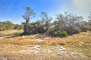 1331 Congo Dr, Poinciana, FL 34759 - Photo 1