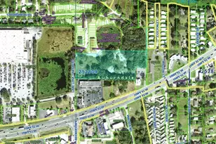 Abundant Life Dr, Auburndale, FL 33823 - Photo 1