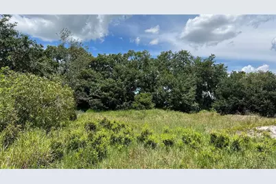 Abundant Life Drive, Auburndale, FL 33823 - Photo 9