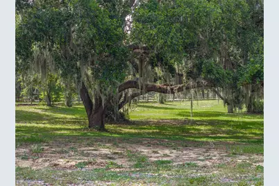 914 Mangham Road, Babson Park, FL 33827 - Photo 65