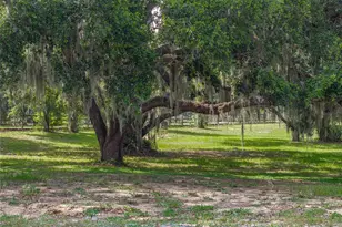 914 Mangham Rd, Babson Park, FL 33827 - Photo 65