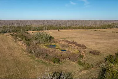 601 Diamond Acres Road, Davenport, FL 33837 - Photo 5