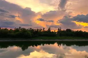 559 Waterfern Trail Dr, Auburndale, FL 33823 - Photo 39