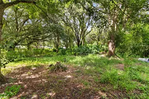 3703 Mt Tabor Rd, Lakeland, FL 33810 - Photo 9