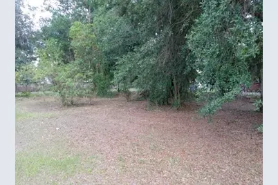 505 S Lanier Ave, Fort Meade, FL 33841 - Photo 5