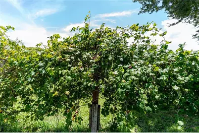 705 Glen Mar Court, Sebring, FL 33876 - Photo 25