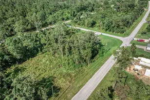 7922 Bernal Dr, Sebring, FL 33872 - Photo 11