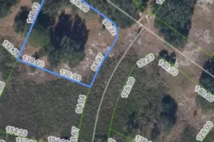 432 Foxhall Cir, Sebring, FL 33876 - Photo 3