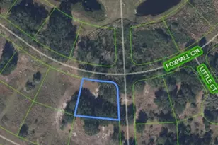 460 Foxhall Cir, Sebring, FL 33876 - Photo 1