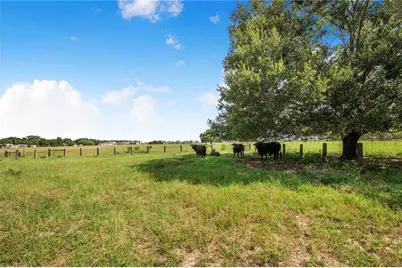 4854 E Hinson Avenue, Haines City, FL 33844 - Photo 67