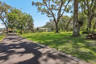 29235 Bayhead Rd, Dade City, FL 33523 - Photo 3